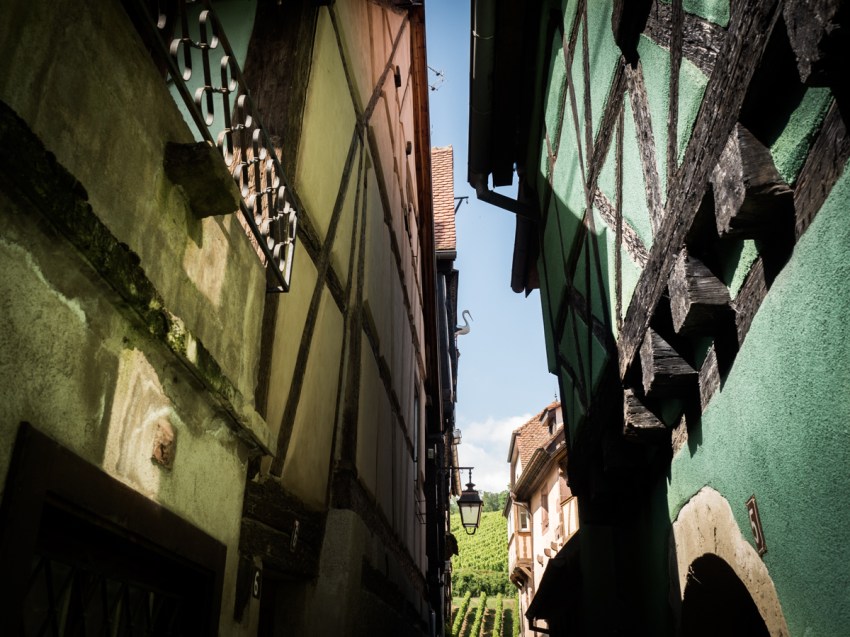 que faire en Alsace - pays de Ribeauvillé et Riquewihr - la route des vins en Alsace - ou dormir dans une cabane dans les arbres en Alsace