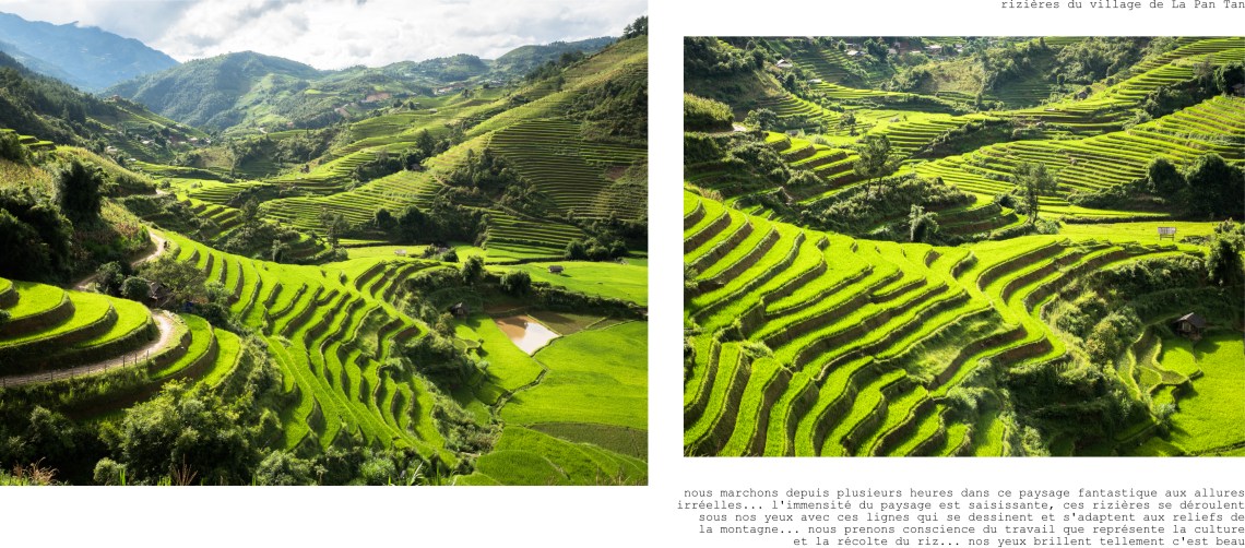 vietnam - mu cani chai - asie - rizière