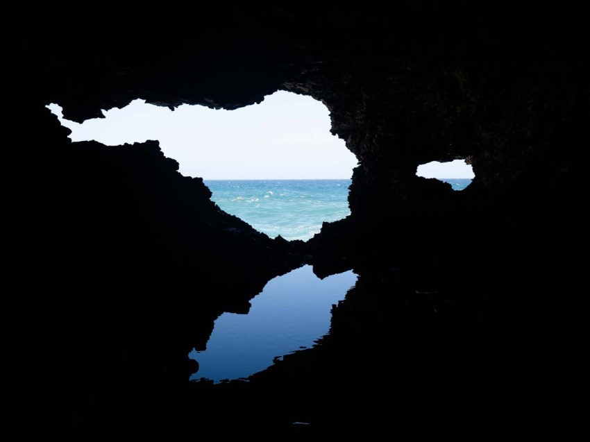 visiter la barbade, grottes, animal flore cave