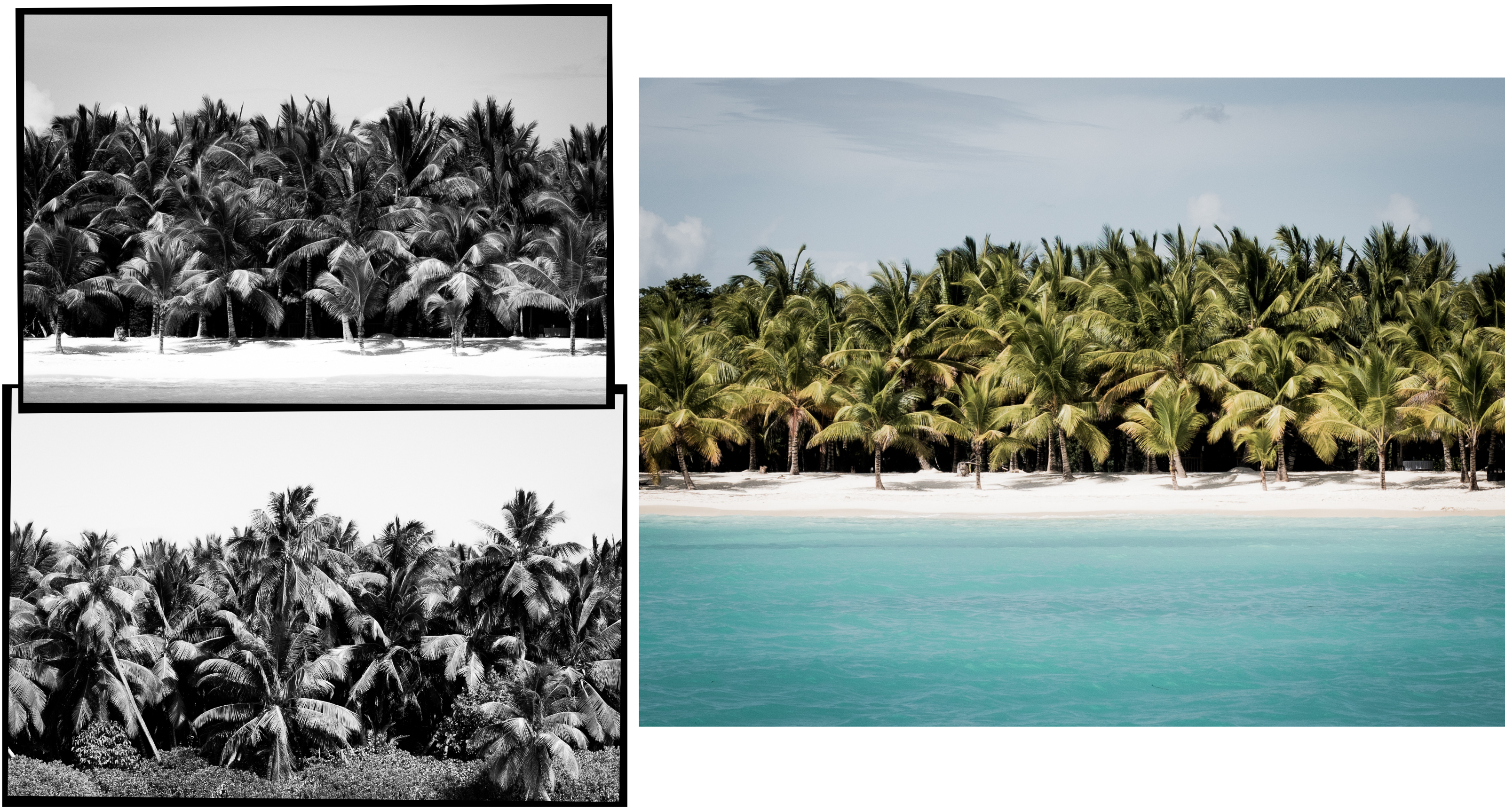 voyage caraibes-saona republique dominicaine - excursion en bateau à saona