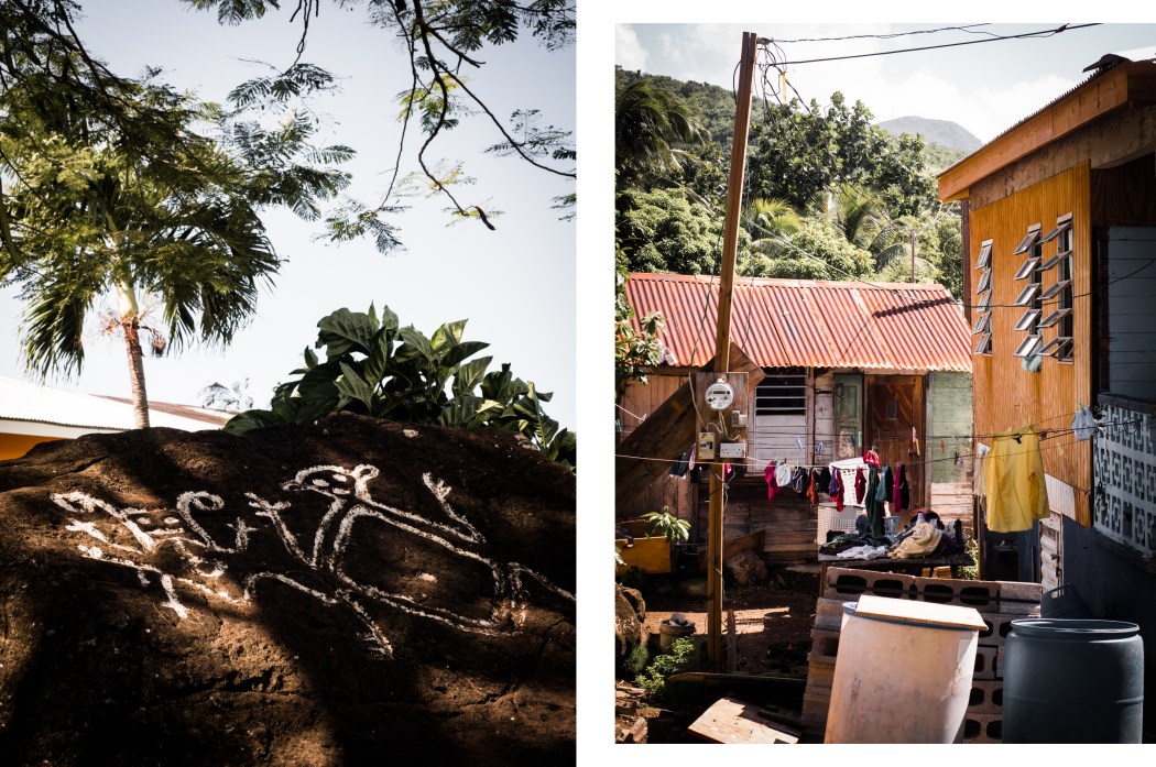 St Kitts tourisme - que faire à St Kitts - que voir à St Kitts - Wingfield Estate