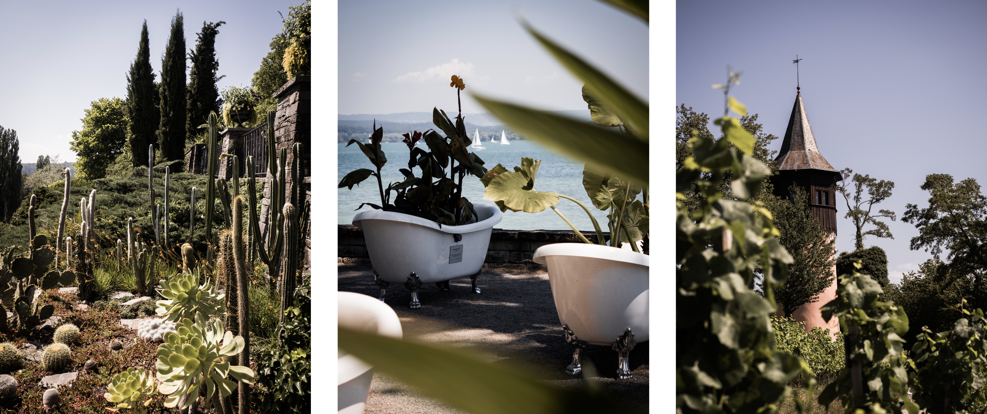 visiter l'ile de Mainau - visiter le lac de Constance - que voir sur l'ile de Mainau